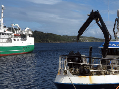 Killybegs20170615_32.jpg