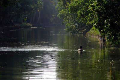 Backwaters IMG_8546.jpg