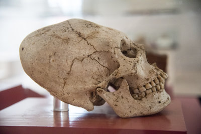 Museo19.jpg