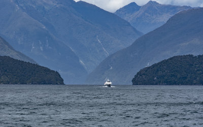 g10/73/954373/3/168464975.j77qxYVD.jpg