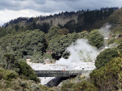 Te Puia Thermal Reserve Rotorua.jpg