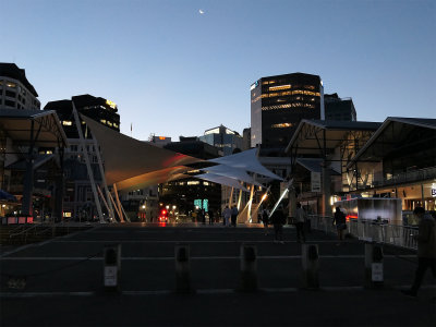 Wellington Evening.jpg