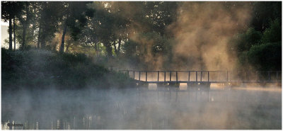 Brume matinale en Cte d'Or