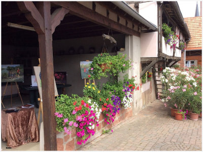L'Alsace et son fleurissement