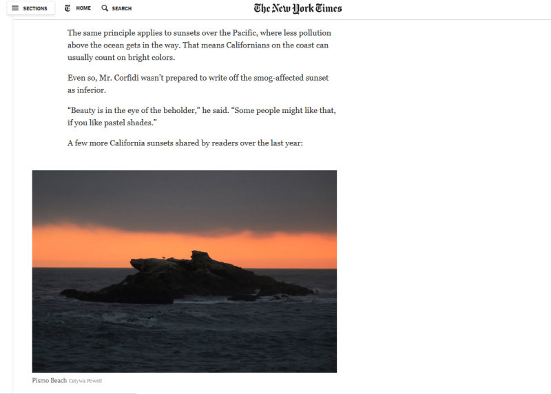I'm in the New York Times again...