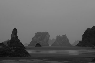 Morning Fog in Bandon