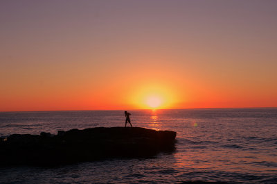 LaJolla8330