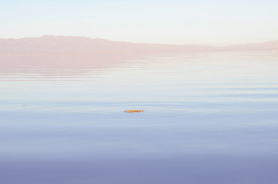 The Mystical Salton Sea