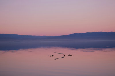 SaltonSea0006