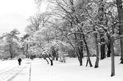 NewYorkSnowstorm2789