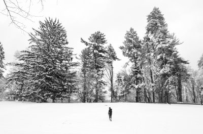 NewYorkSnowstorm2818