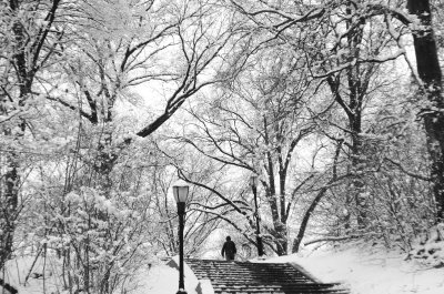 NewYorkSnowstorm2798