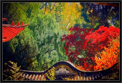 Autumn in China - 1