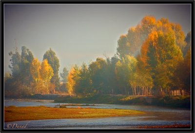 Autumn in China - 3
