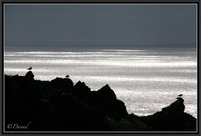The Silver Sea.