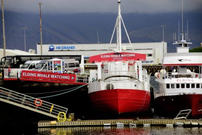 Iceland0421i.jpg