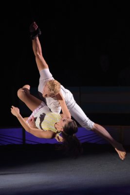 BigAppleCircus202A.jpg