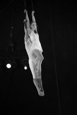 BigAppleCircus262A.jpg