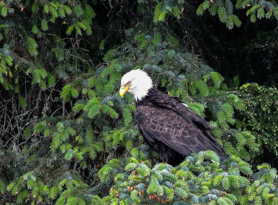 ALASKA MAY/JUNE 2016