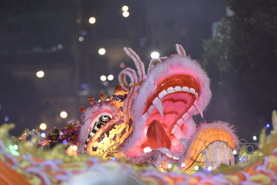 Chinese New Year's Parade 2-24-18