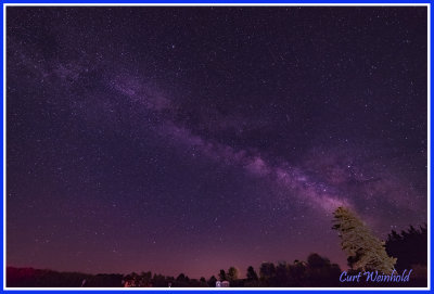 Milky way leaves a smoke-like trail from a white pine tree.