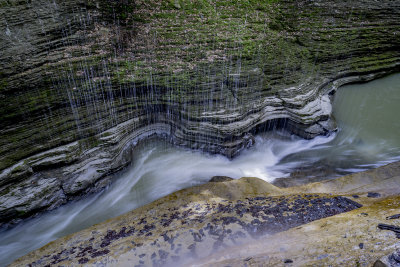 Watkins Glen