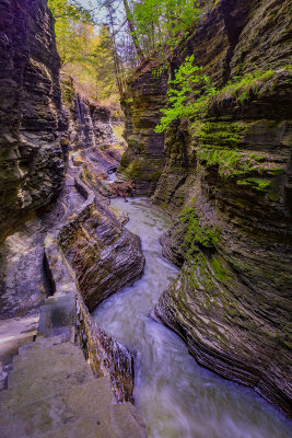 Watkins Glen