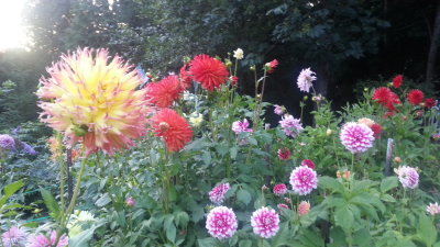 20140721_204621.jpg