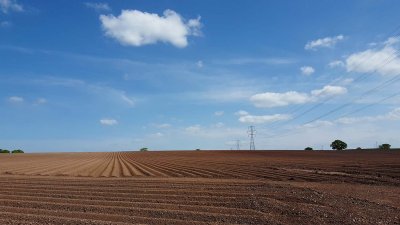 Freshly ploughed field, Minworth