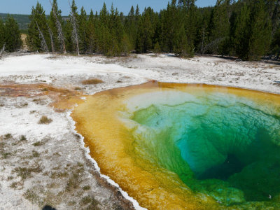 Yellowstone NP