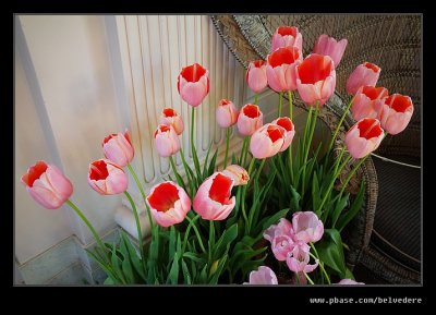 g10/74/669674/3/166180073.GuOlXRIN.jpg