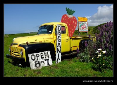 2017 Swanton Berry Farm #01, Davenport, CA