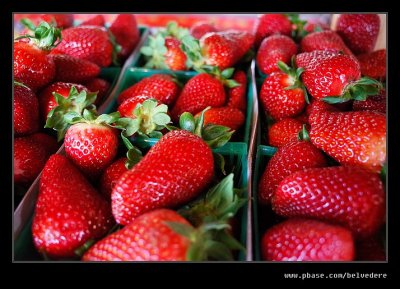 2017 Swanton Berry Farm #16, Davenport, CA