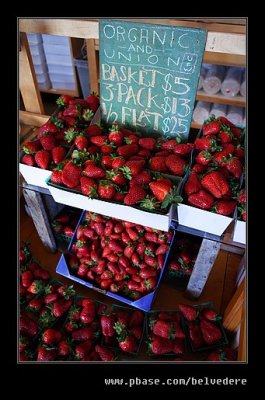 2017 Swanton Berry Farm #23, Davenport, CA