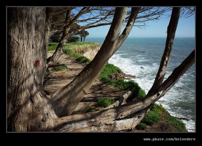 2017 Cliff Top View, Davenport, CA