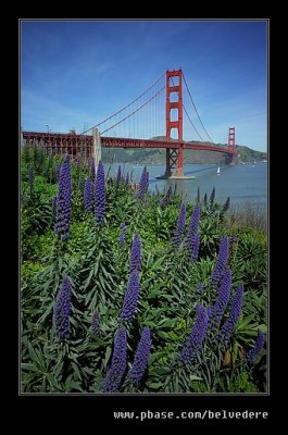 2017 Golden Gate Bridge #03, San Francisco, CA