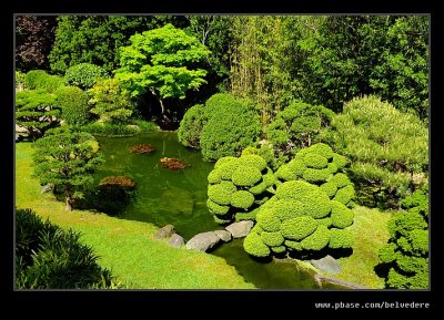 Japanese Tea Garden #04, San Francisco, CA