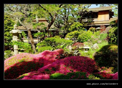Japanese Tea Garden #05, San Francisco, CA