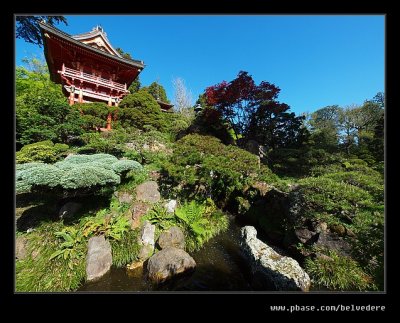 Japanese Tea Garden #08, San Francisco, CA