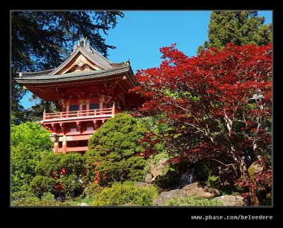 Japanese Tea Garden #10, San Francisco, CA