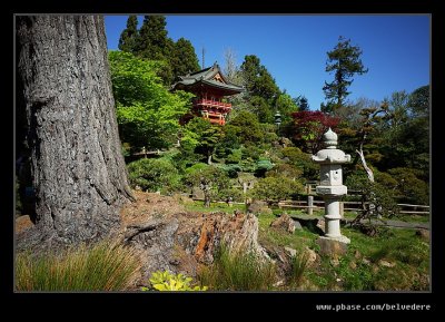 Japanese Tea Garden #14, San Francisco, CA