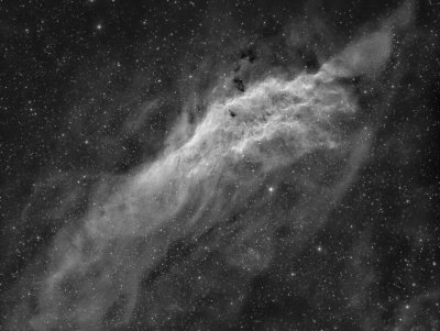 NGC 1499; the California Nebula in Ha