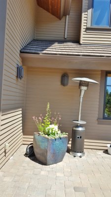 20170627_114524.jpg