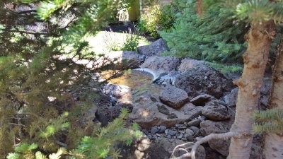 20170627_115336.jpg