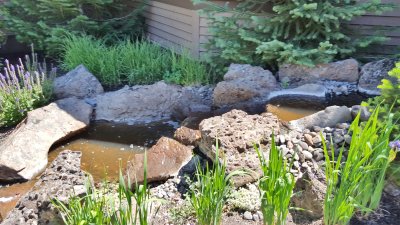20170627_115345.jpg