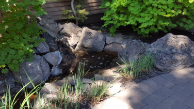 20170627_115356.jpg