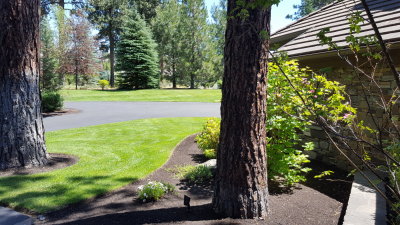 20170627_115416.jpg