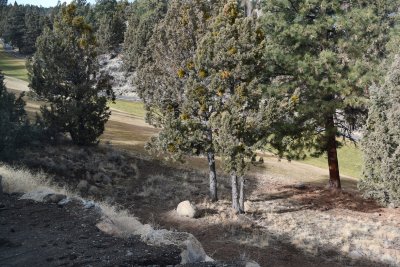 house across street.. steep back yard