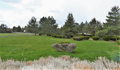 DSC_1663.JPG