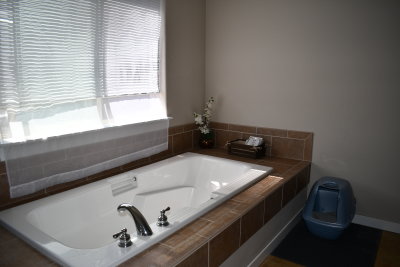 g10/74/713974/3/168138729.Xy4mi4zk.jpg